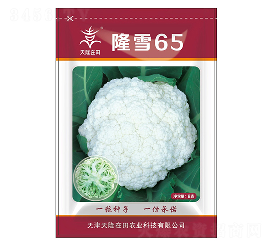 ¡ѩ65-��¡����-��¡ũҵ