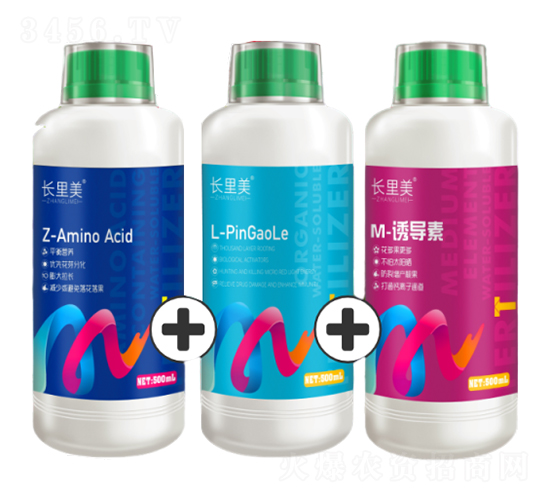 ������(Z+L+M)-����֮��