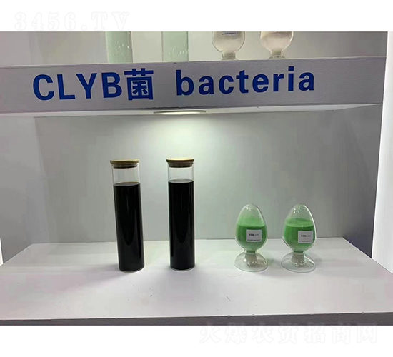 CLYB��-��������