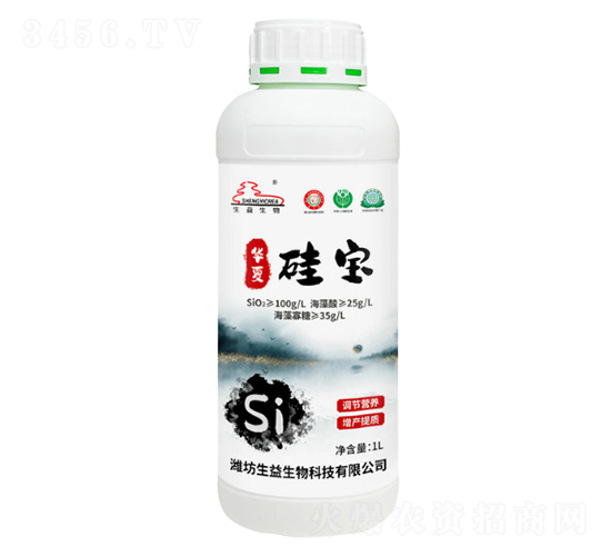 �����-���Ĺ豦-��������