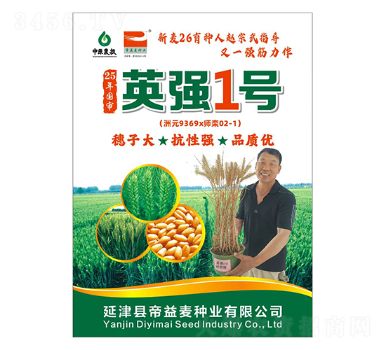С������-Ӣǿ1��-��������ҵ