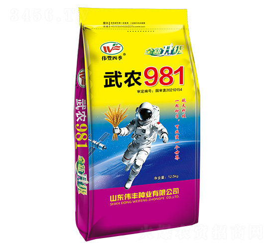 ��ũ981С������-ΰ���ļ�-ΰ����ҵ