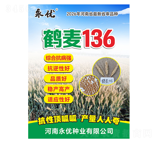 С������-����136-������ҵ