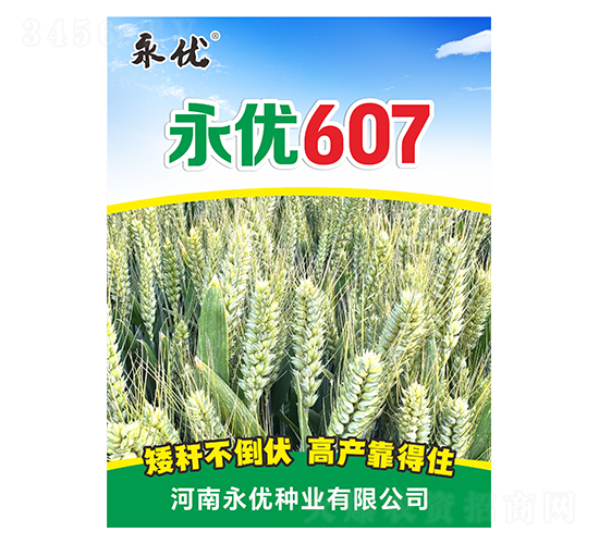С������-����607-������ҵ
