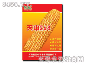 ����268-��������