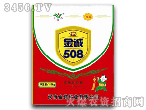 ��Է-���508-��������