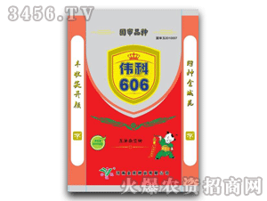 ��Է-ΰ��606-��������
