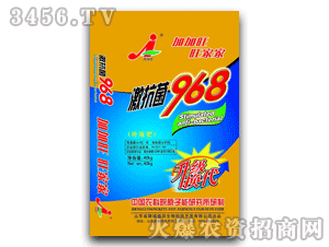 �Ӽ���-������968��ʩ��������