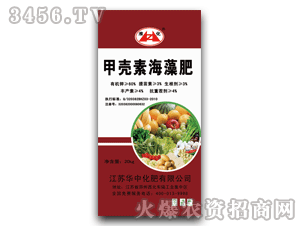 ����-����-�׿��غ����