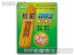 ���к���802���������ӣ�