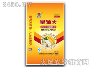 �л�-�޻������10-10-10-�ʸ���-����