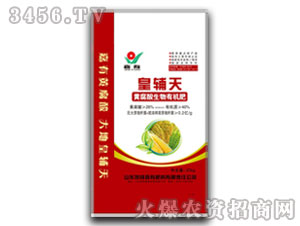 �Ƹ������л���-�ʸ���-����