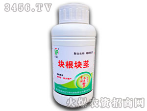 ����龥Һ��-����