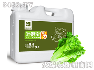 ���백����ˮ�ܷ�-Ҷ�ñ�-������