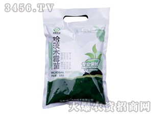 ����ľù��ɱ����1kg-��¤����