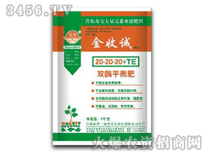 ˫øƽ���20-20-20+te-���ճ�-�汦