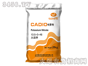 �󾧼�13.5-0-46-���޵�-ɭ��