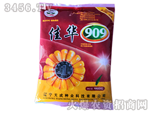 �ѻ�909-��������-�����ҵ