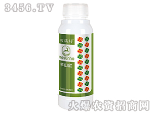 14Ԫ������ȫ�油��Ӫ��-������-������