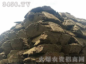 �л�����-��Ⱥũҵ