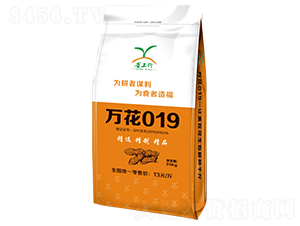 ��019��20kg��-��������-¢����