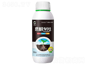 ����N99-��������