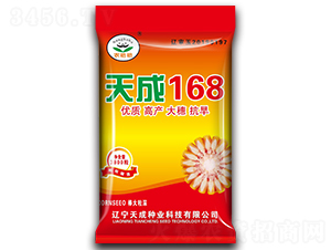 ���168-��������-�����ҵ