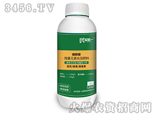 1L�Ǵ���-ũ��һ