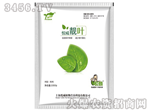 ������Ҷ��1000g��-����
