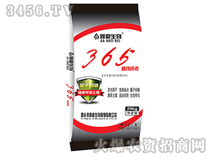 365���߿��-�ں�����