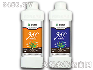 365���߿��2-�ں�����