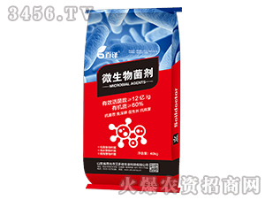 40kg΢�������-����-������