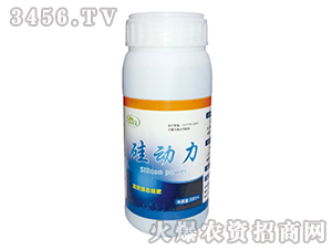 �趯������Ԫ��ˮ�ܷ���-����-������