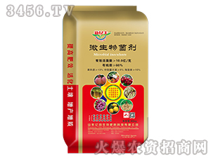 40kg΢�������-���ڷ�-��������