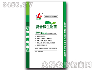 ����΢�����-����