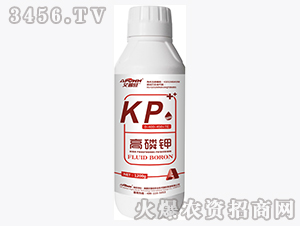 ���׼أ�1200g��-������