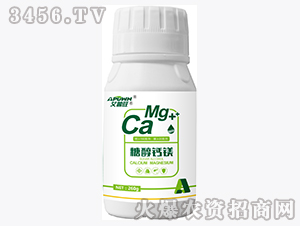 ��һԪ��-�Ǵ���þ��260g��-������