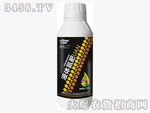 1200gҺ�嵪��-������