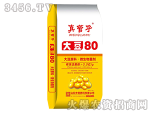 ��80΢�������-��ܺ�-���ŷ���