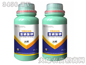 �������520-350-�־�
