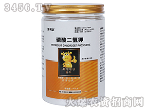 1000g��������-ŵ����