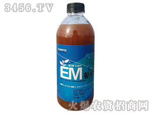 EM����ʩ��-˶��ӯ֦
