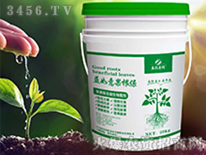 ̼ø����΢�������-�����������-��������