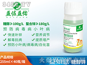 �Ǵ�п-������-��������