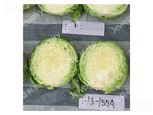 �ݸ�13155-��������-������