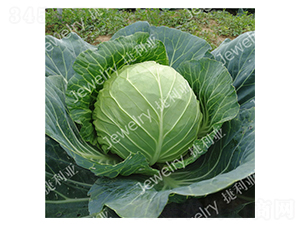 �̼�374-��������-������