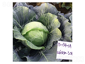 �ݸ�154-��������-������