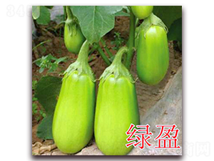 ��ӯ-��������-��ʢũҵ