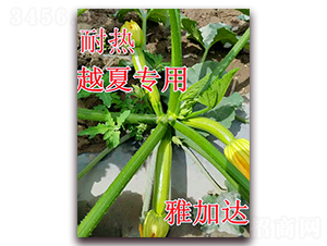 �żӴ�-����«����-��ʢũҵ