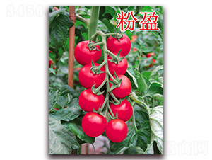 ��ӯ-��������-��ʢũҵ
